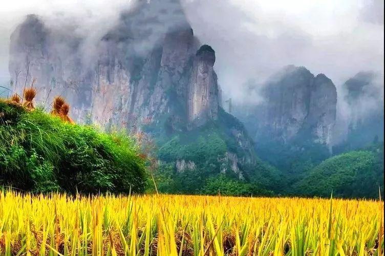 媒体：乌克兰或将在1月31日收到美国提供的GLSDB弹药